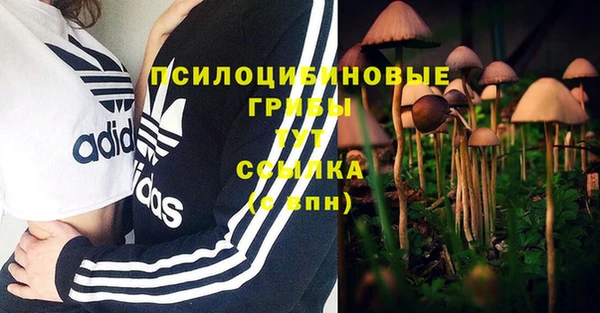 гашишное масло Козельск