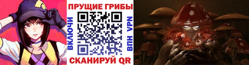 Купить где  Прокопьевск  Псилоцибиновые грибы Magic Shrooms 